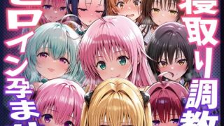 【To LOVEる】種付けおじさんがヒロインを孕ませる話【夕崎梨子 ララ ナナ モモ 西連寺春奈 結城美柑 金色の闇 古手川唯 黒咲芽亜 ルン】
